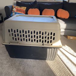 Dog Kennel