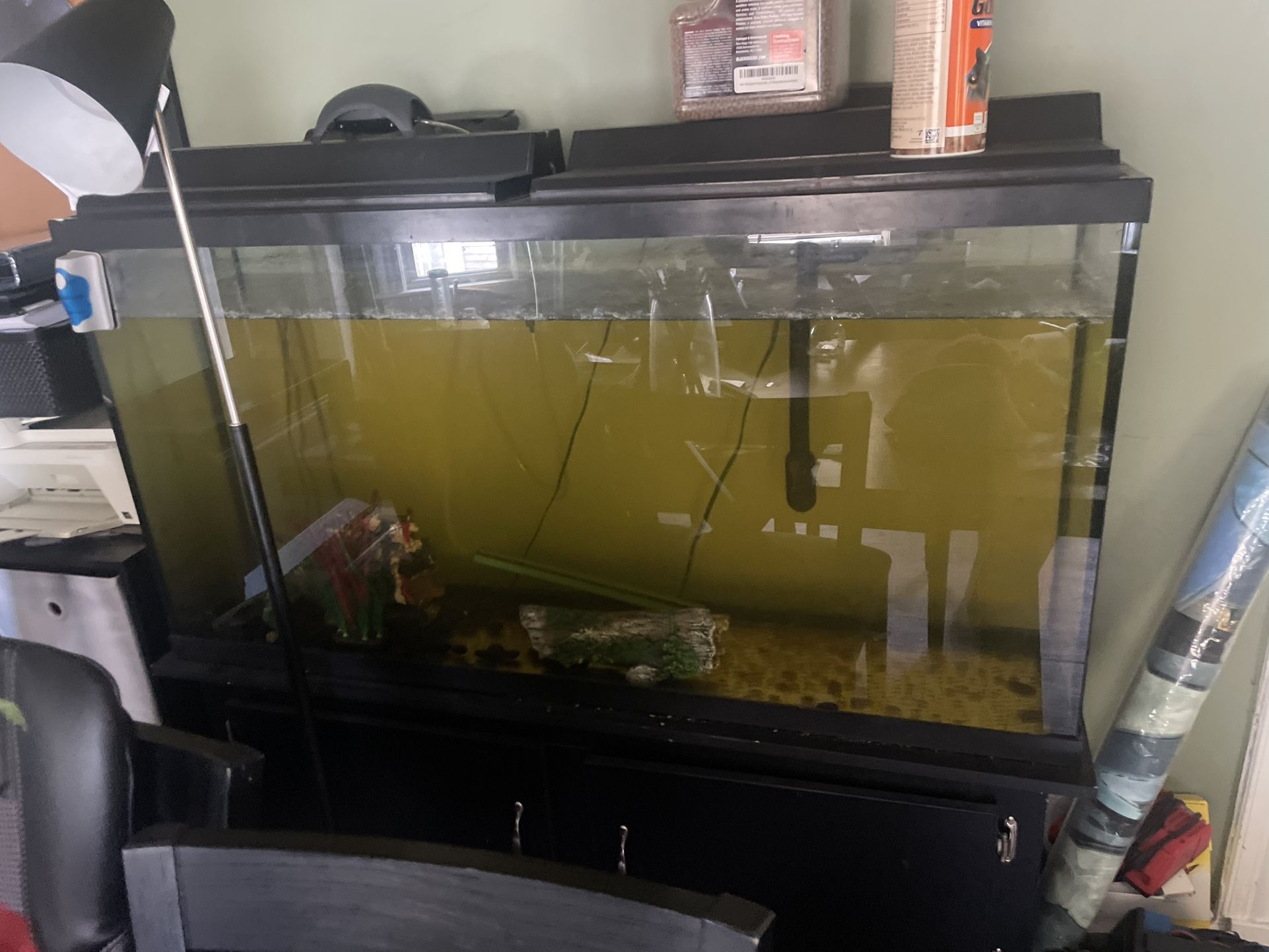 Fish tank