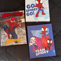 Spider Man Posters 