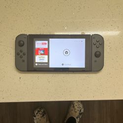Nintendo switch grey