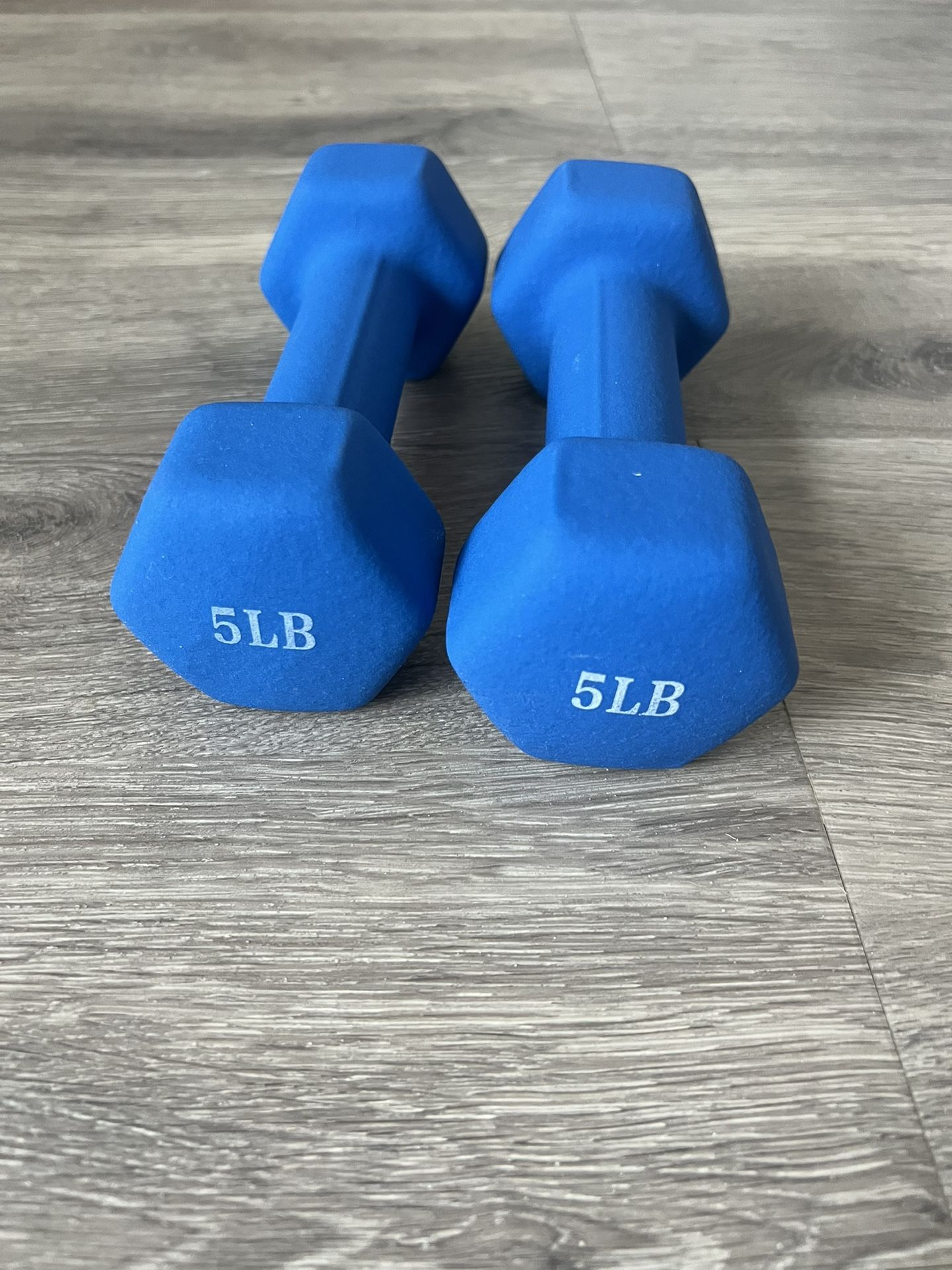5 lbs Dumbbells