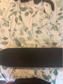 Santa Cruz stake board