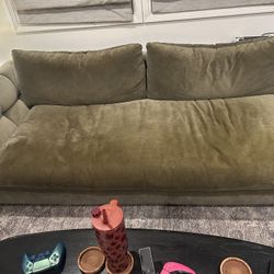Crate And Barrel Velvet Couch