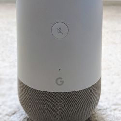 Google Home (White & Gray)