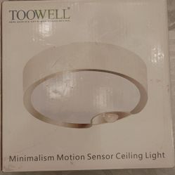 Motion Sensor Ceiling Light