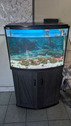 36 gallon fish tank and stand