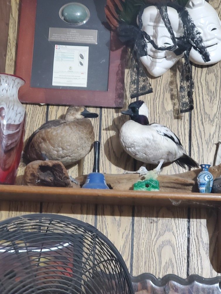 2 Ducks Nice Present For A Hunter