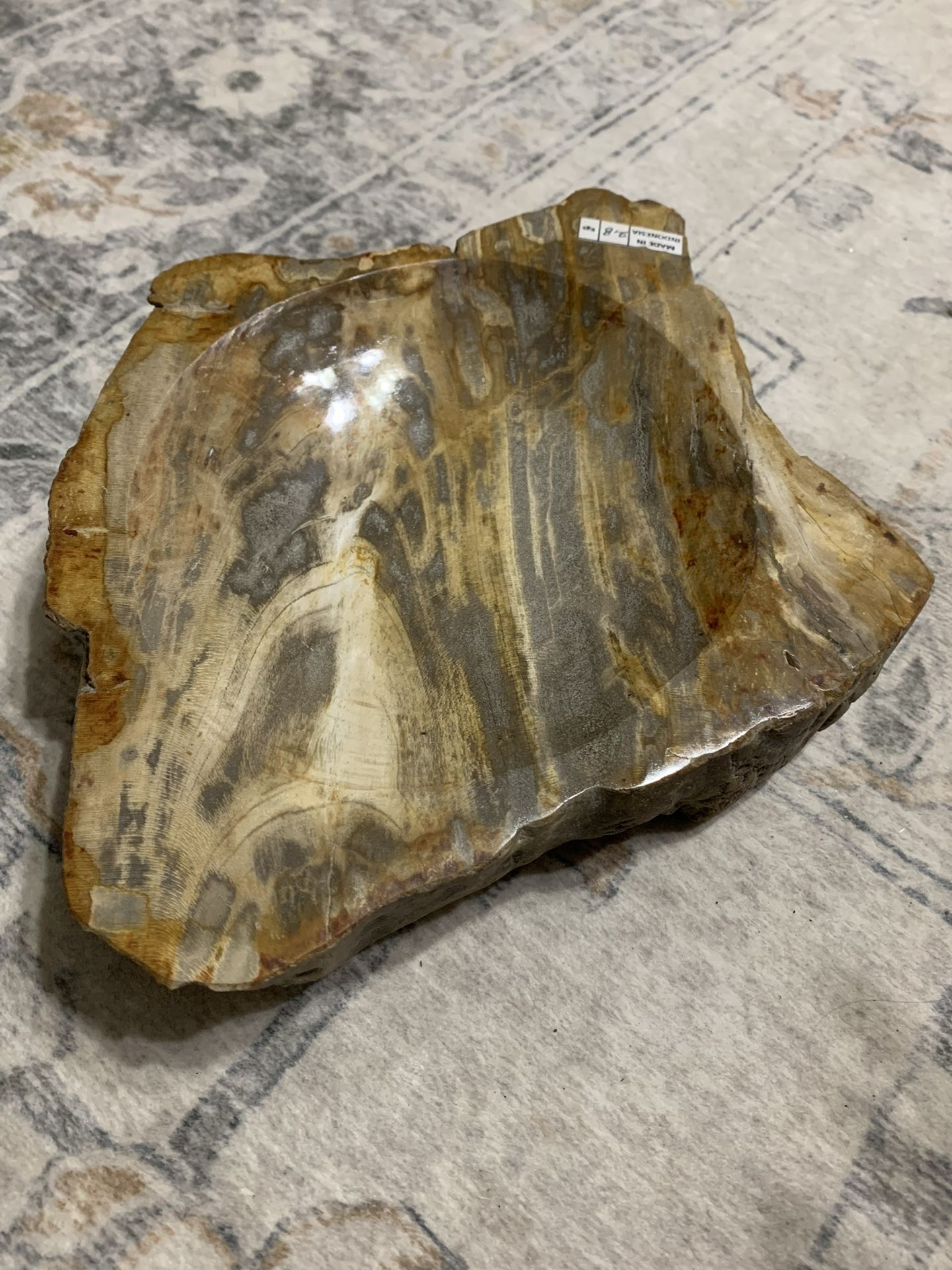 Petrified wood bowl 10.5 X 9 X 2”