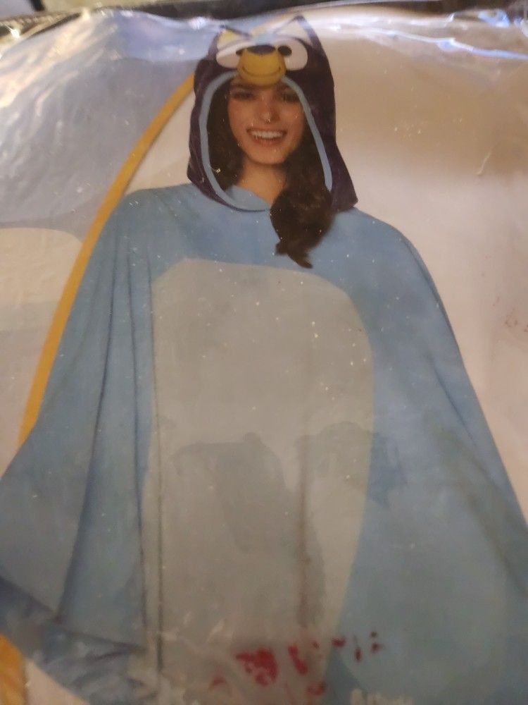 Adult Bluey Costume-worn once