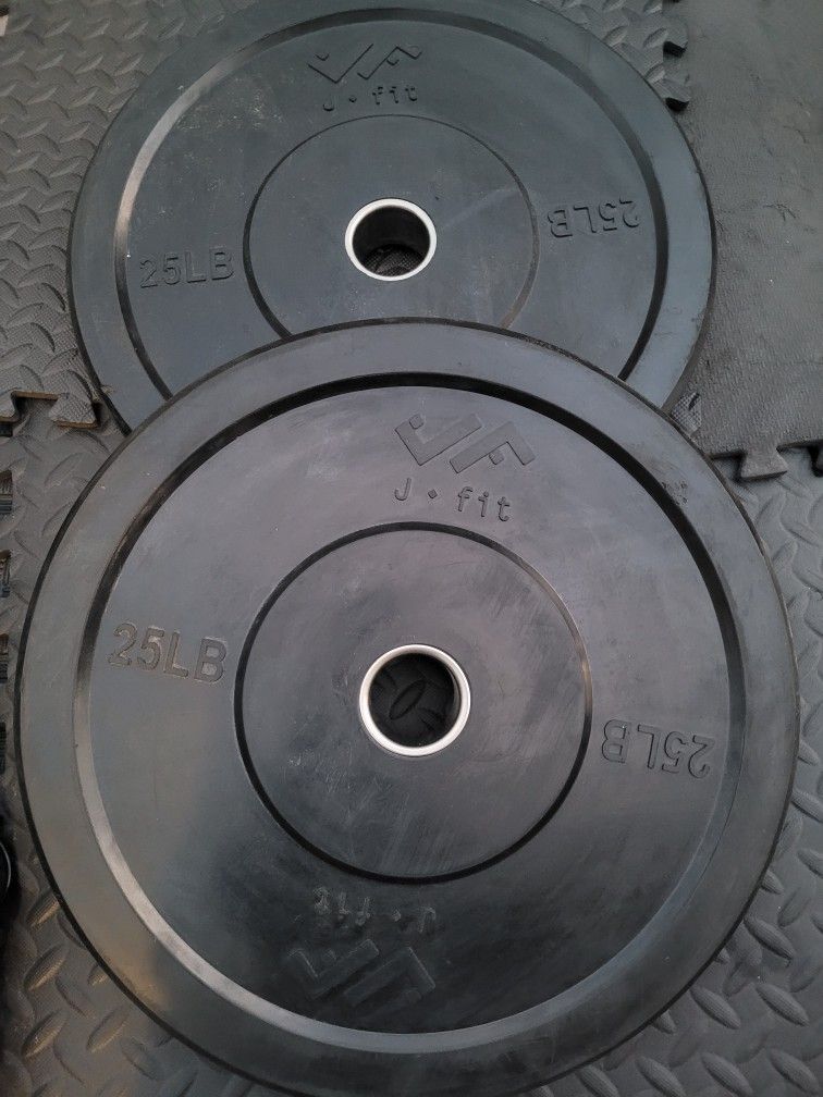 25lbs Bumper Weights