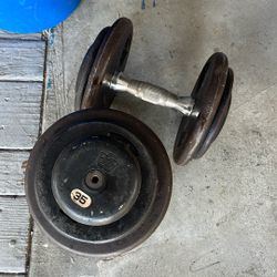 35 Lb Dumbbell Pair 