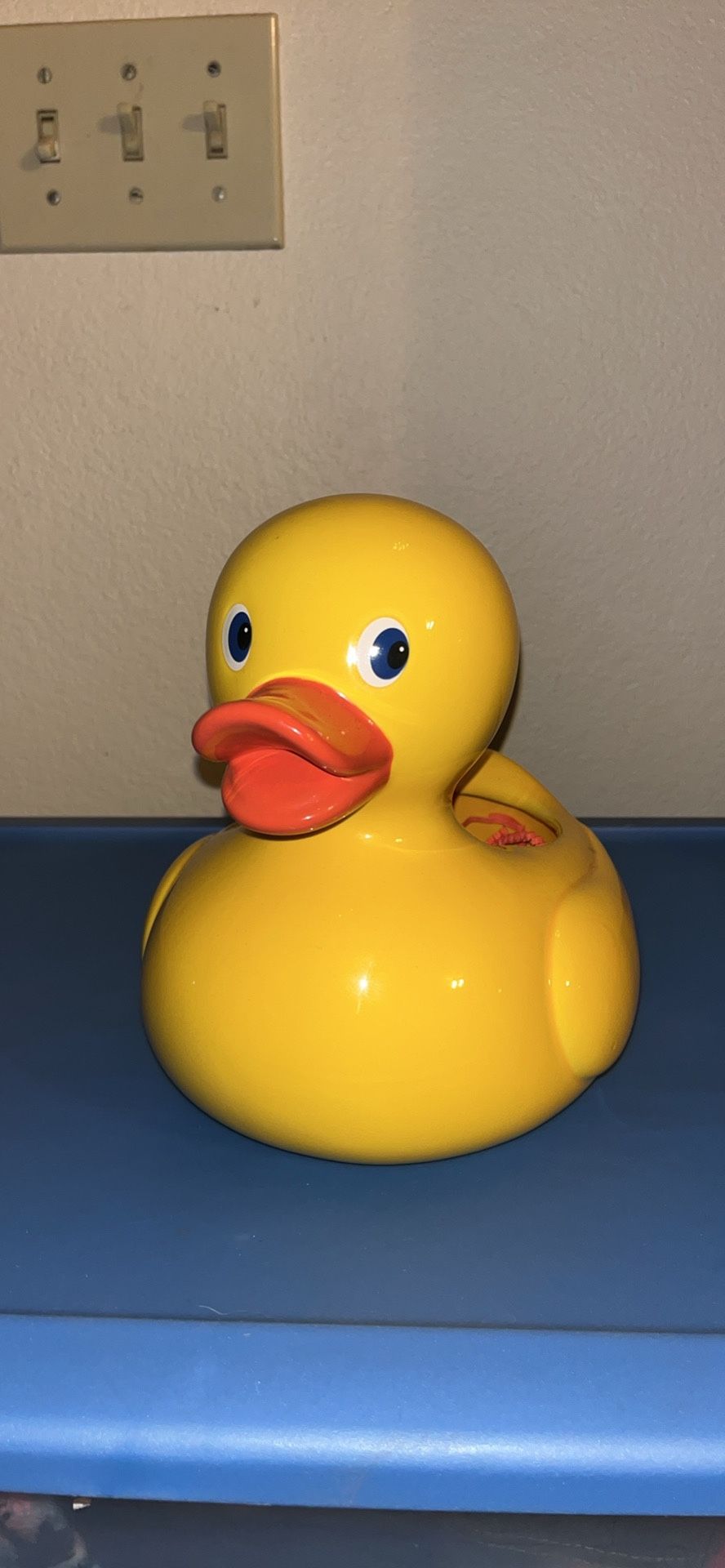 Duck Garden Pot
