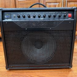 RAVEN AMPLIFICATION RG60 AMP