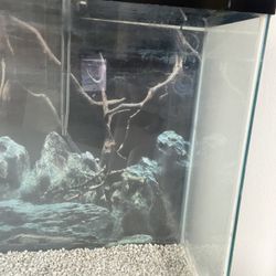 square fish tank 