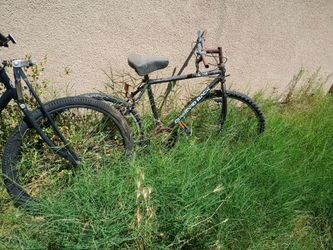 Bicycle youth