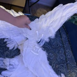 8 Piece Hand Made Angel Costume Never Worn 