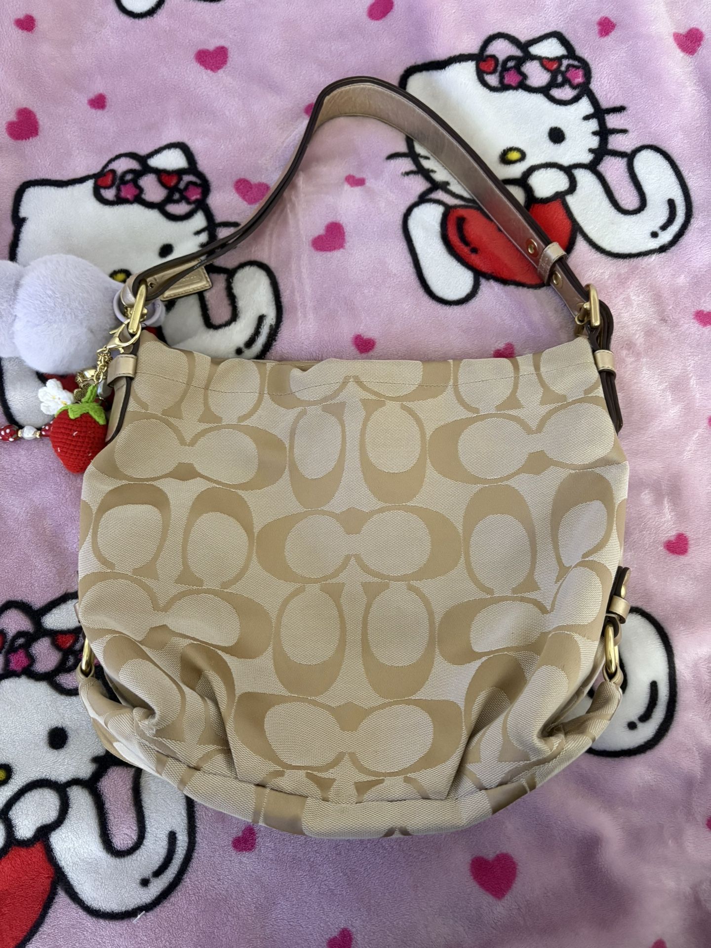 Vintage Coach Bag