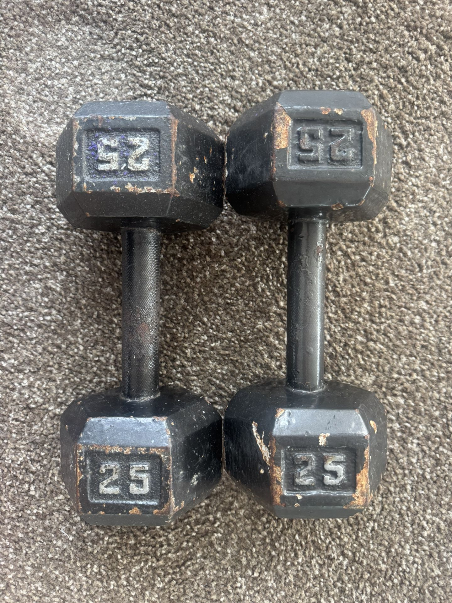 25 Lb Dumbbell X 2