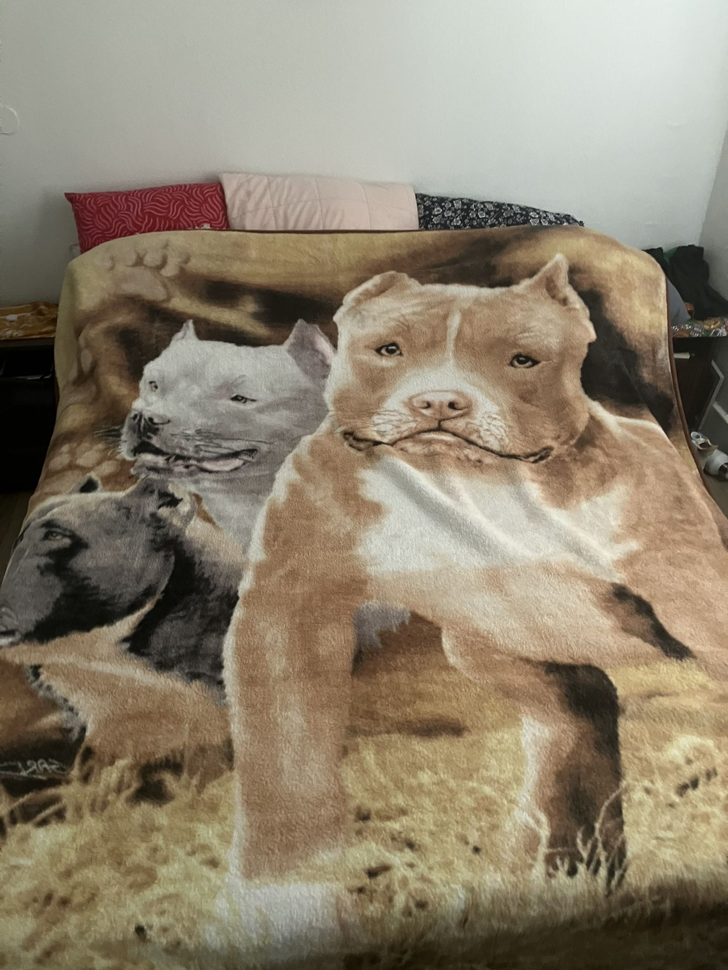 Pitbull Blanket
