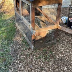 Chicken Coup