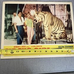 Original Movie Poster