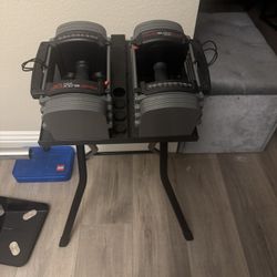 PowerBlock EXP Adjustable Dumbbell Set + Powerblock Stand