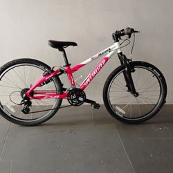 BICYCLE SPECIALIZED 21 SPEED BRAND NEW 