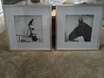 Framed Horse Wall Art Set – 2 Matching Prints