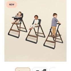 Ergobaby Evolve High Chair System