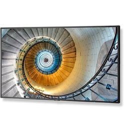 NEC E554 55 Inch LED Monitor / TV with HDMI and Mounting Brackets