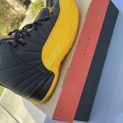 Jordan 12 Size 12 
