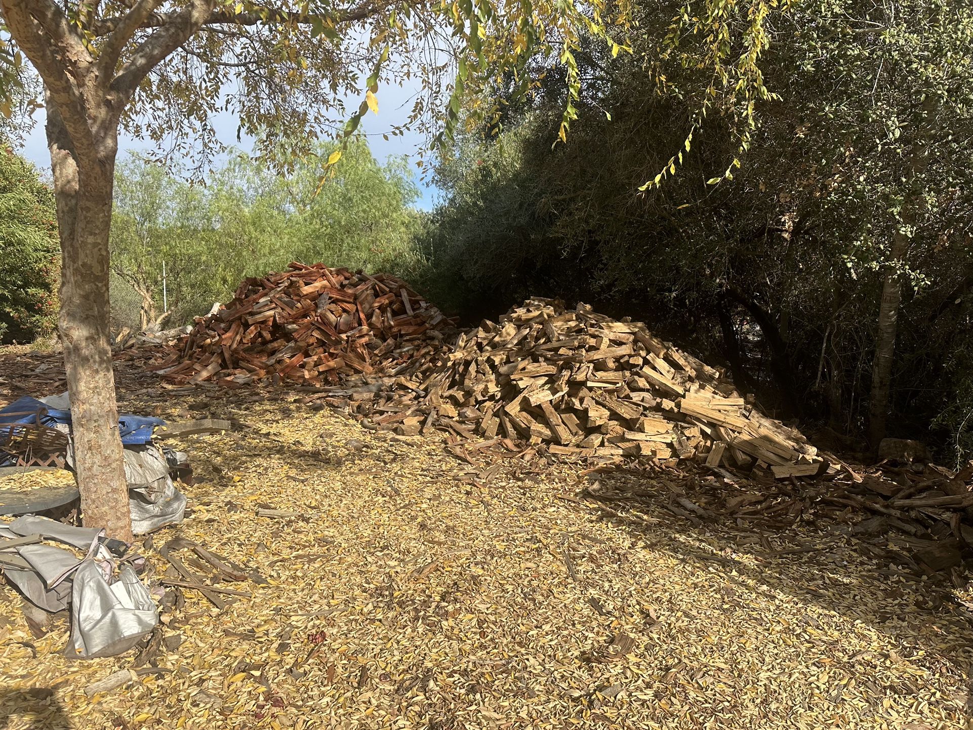 Firewood