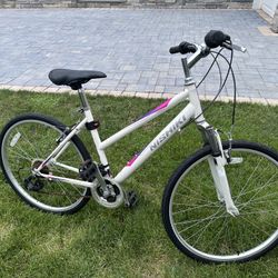 NISHIKI ROAD HYBRID bike bicycle 