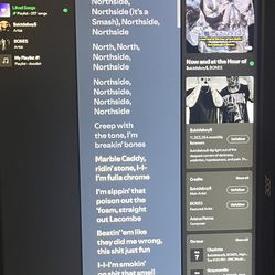 240 Htz Acer Monitor 
