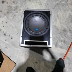 Alpine 10 Subwoofer