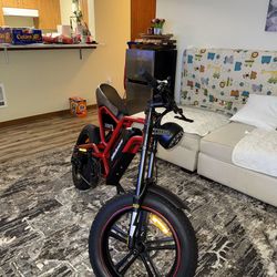 Ebike (NEED GONE)