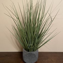 Fake Plant