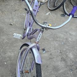 schwinn 24 beach cruiser coaster