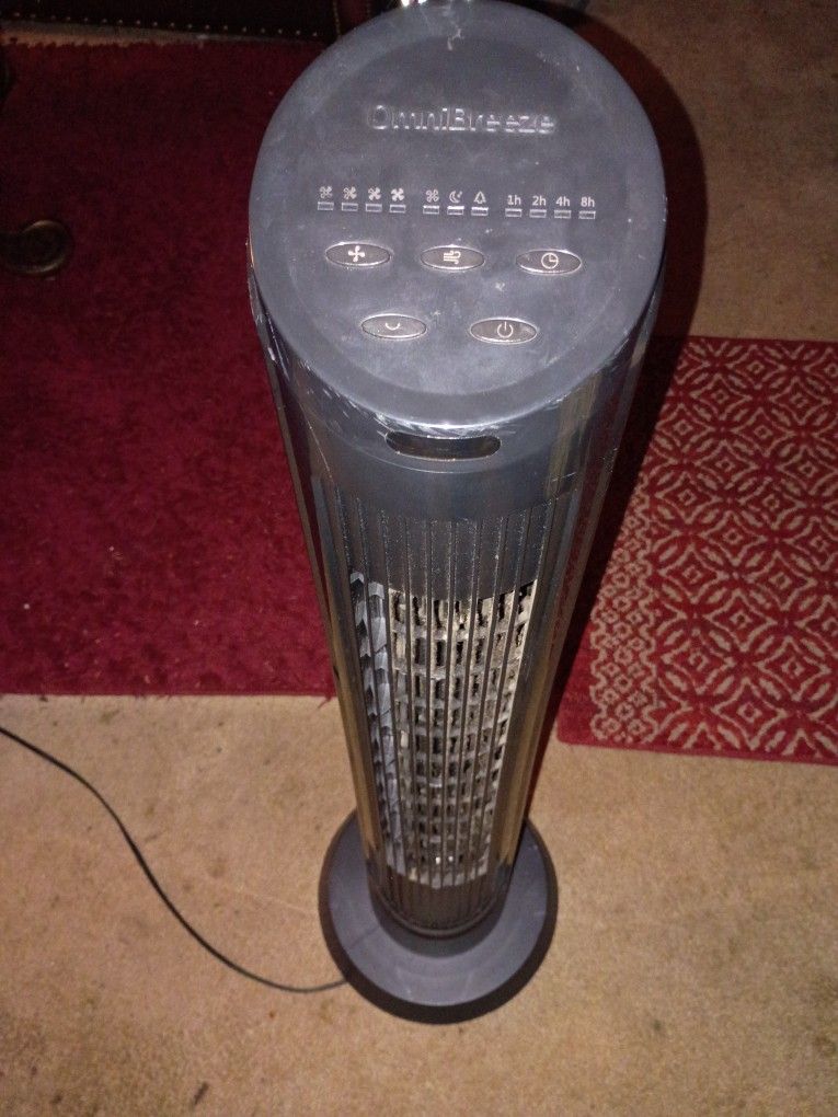 Costco OmniBreeze 40" Tower Fan

