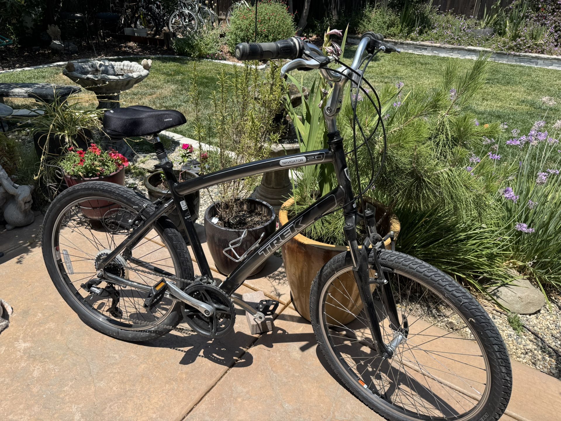 Trek Comfort Bike