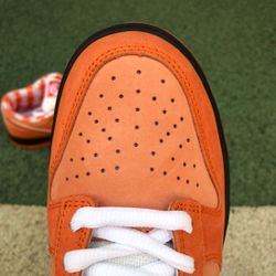 Nike SB Dunk Orange Concept 