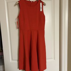 Woman’s Dress Knee Length 