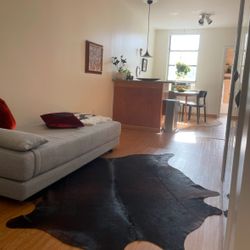FREE Dark Brown Cowhide  Rug