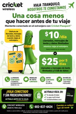 ROAMING INTERNATIONAL CON CRICKET