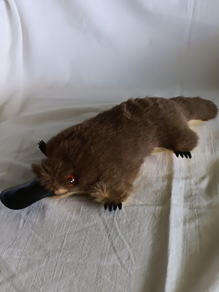 Duckbill Platypus Stuffed Animal