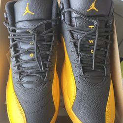 Air Jordan 12 Retro Black & Yellow Size 10