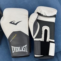 12 Ounce Everlast Boxing Gloves (2 Pairs)