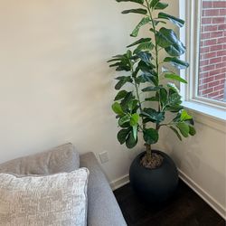 Artificial Fiddle Leaf Fighting Tree