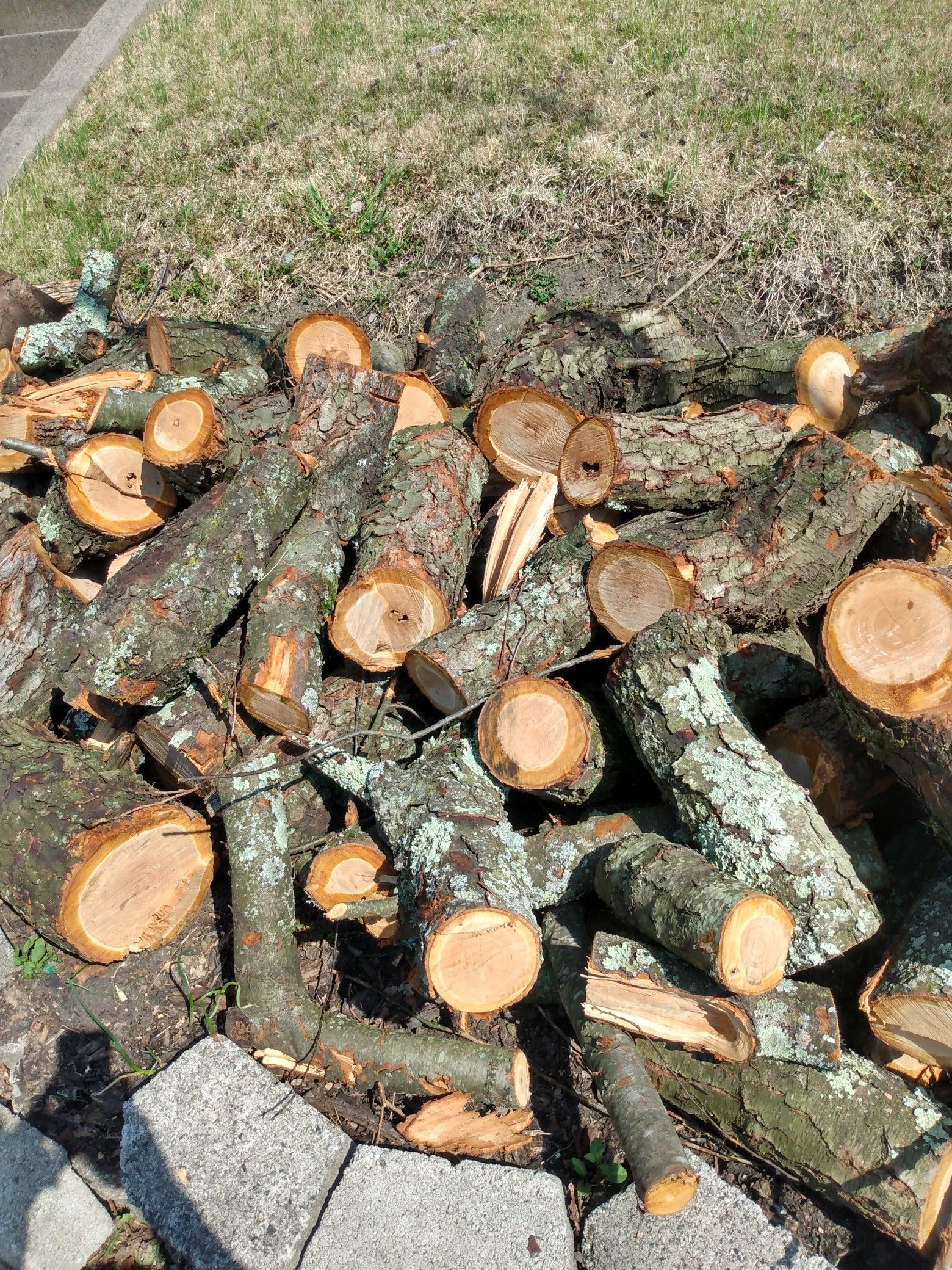 Cherrywood logs