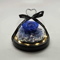 NEW Real Preserved Rose Everlasting Forever Eternal Flowers W/ LED Light